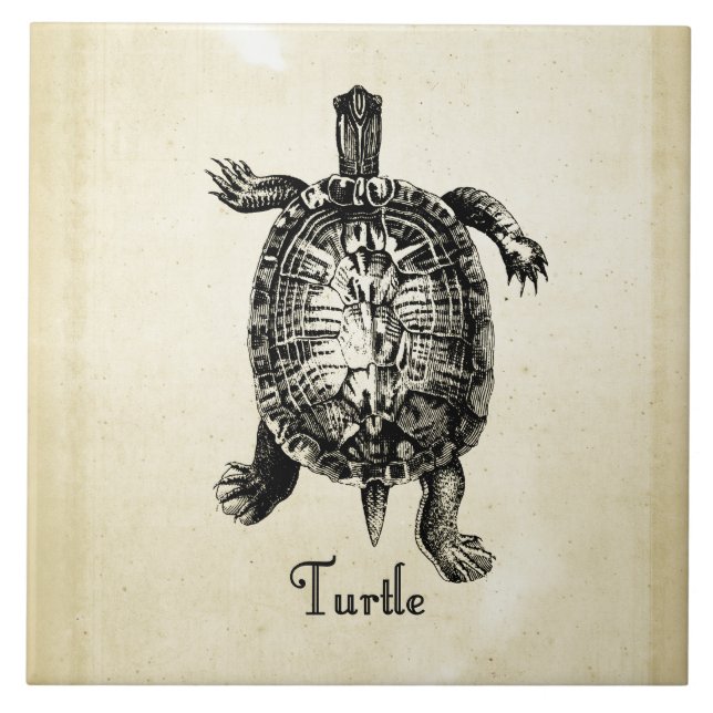 VINTAGE TURTLE KAKELPLATTA (Framsidan)