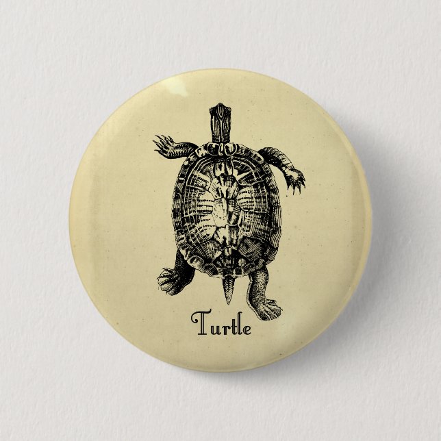 VINTAGE TURTLE KNAPP (Framsida)