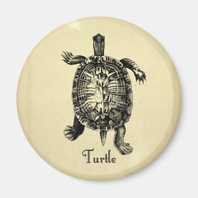 VINTAGE TURTLE MAGNET (Framsidan)
