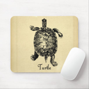 VINTAGE TURTLE MUSMATTA