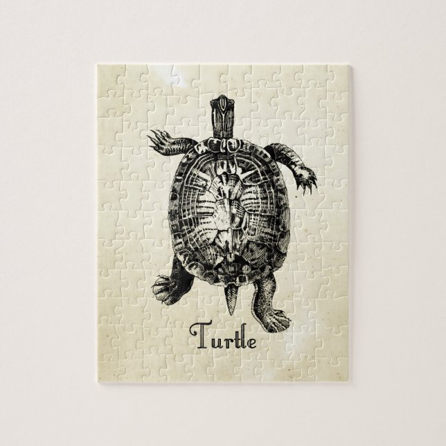 VINTAGE TURTLE PUSSEL (Vertikal)