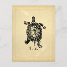 VINTAGE TURTLE VYKORT