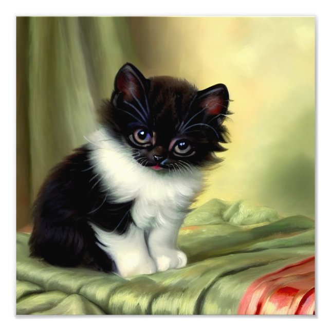 Vintage Tuxedo Kitten Illustration Fototryck (Framsidan)