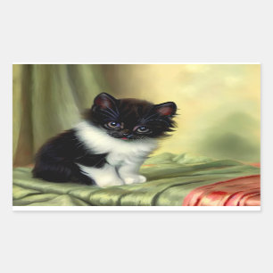 Vintage Tuxedo Kitten Illustration Rektangulärt Klistermärke