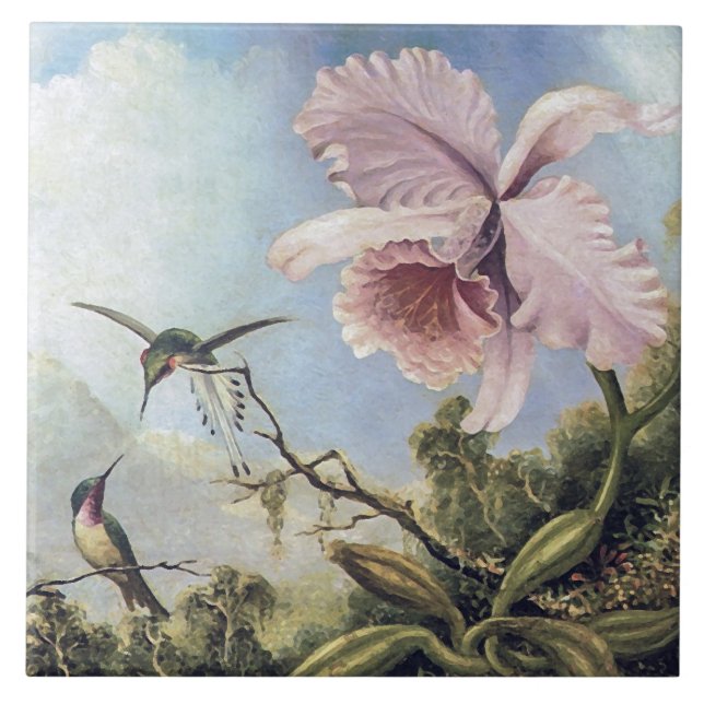 Vintage Två Kolibrier och Rosa Orkidéblomma Kakelplatta (Framsidan)