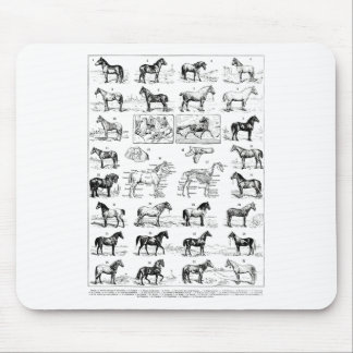 Vintage Typer av hästar Horseback Ridi Musmatta