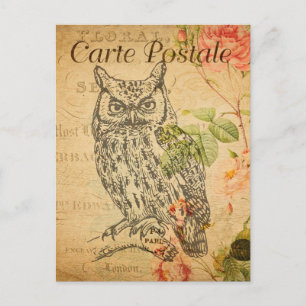 Vintage Uggla Blommigt Flowers Fransk Cartle Posta Vykort