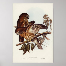 Vintage Uggla Illustration Poster