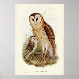 Vintage Uggla Illustration Poster