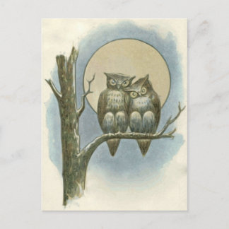 Vintage uggla illustration vykort