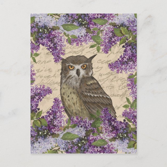 Vintage uggla och lilac vykort (Framsida)