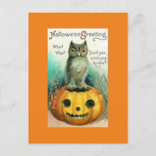 Vintage Uggla på Pumpkin Halloween-vykort Vykort