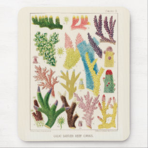 Vintage Underbar barriärref för Australien Corals Musmatta