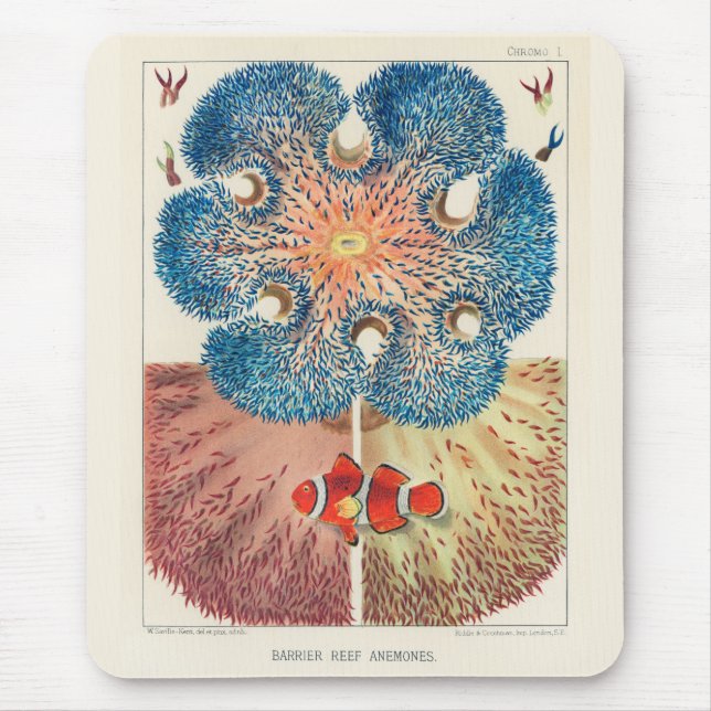 Vintage Underbar Barrier Reef Anemones Sång Fish Musmatta (Framsidan)