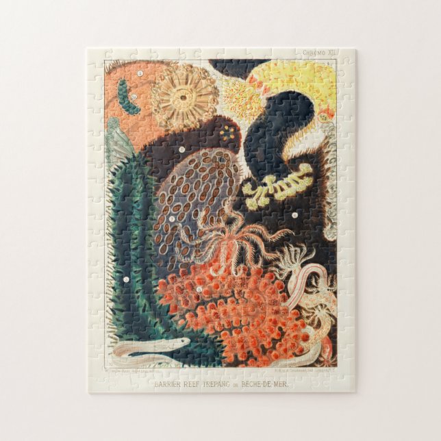 Vintage Underbar Barrier Reef Trepang eller Bêche- Pussel (Vertikal)