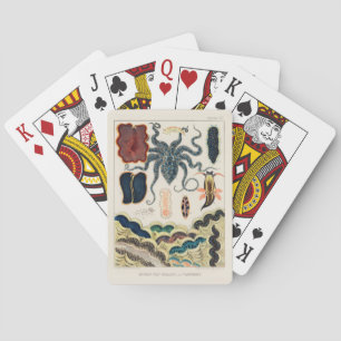 Vintage, Underbara barriärrev, molluscs och planar Casinokort