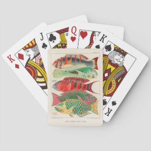 Vintage Underbara barriärrevet för Australiens fis Casinokort
