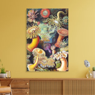Vintage Undervattenshavsanemoner av Ernst Haeckel Canvastryck