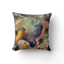 Vintage Undervattenshavsanemoner av Ernst Haeckel