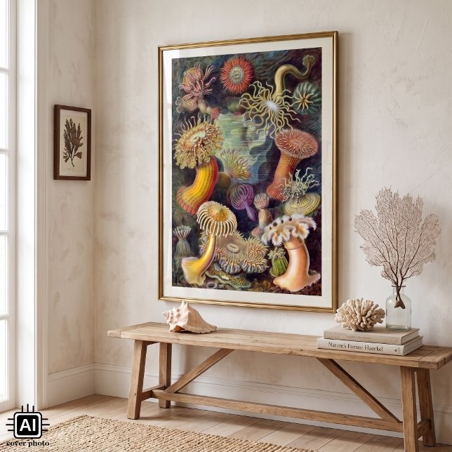 Vintage Undervattenshavsanemoner av Ernst Haeckel Poster (Vintage illustration marine life design by Ernst Haeckel. A variety of colorful sea anemones.)