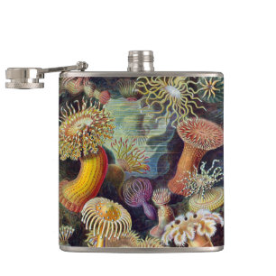 Vintage Underwater Anemones av Ernst Haeckel Fickplunta