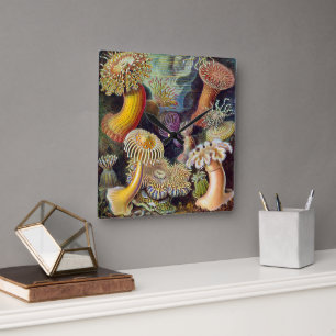 Vintage Underwater Anemones av Ernst Haeckel Fyrkantig Klocka