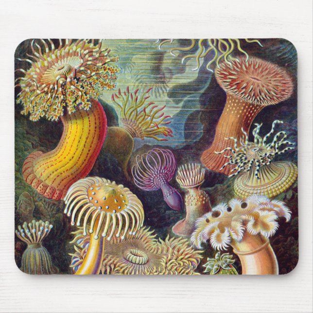 Vintage Underwater Anemones av Ernst Haeckel Musmatta (Framsidan)