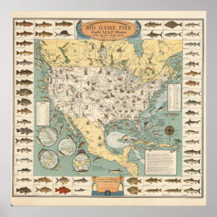 Vintage US Fish Karta Poster