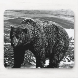 Vintage USA Alaska brunbjörn Fodral-Mate iPhone Ca Musmatta