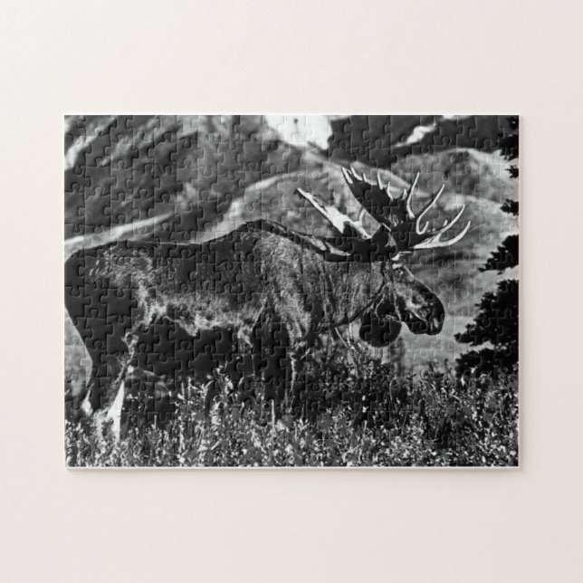 Vintage USA Alaska bull moose 1970 Pussel (Horisontell)