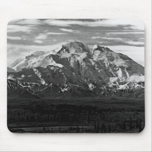 Vintage USA Alaska Mt Mckinley nationalpark Musmatta
