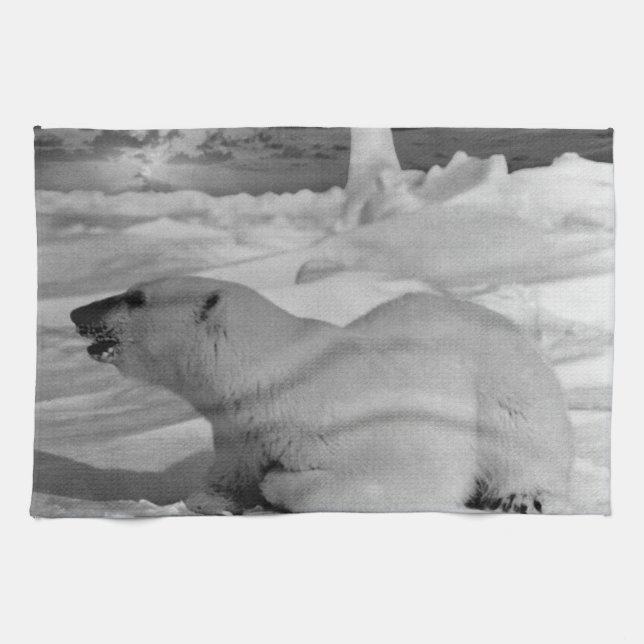 Vintage USA Alaska polar 1970 Kökshandduk (Horisontell)