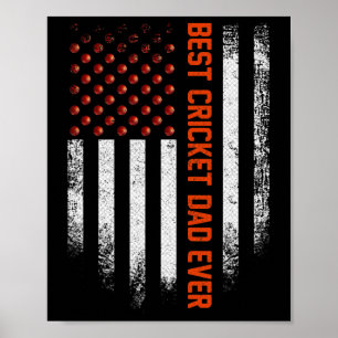 Vintage Usa Amerikansk Flagga Bästa Cricket Pappa Poster