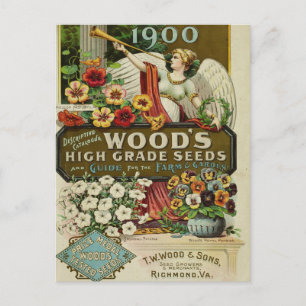 Vintage Utsäde och vykort