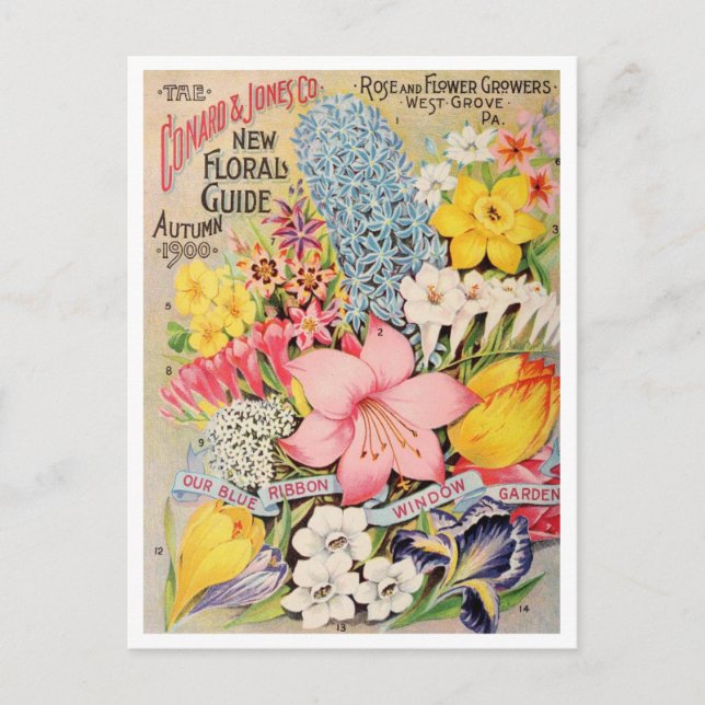 Vintage Utsäde och vykort (Framsida)