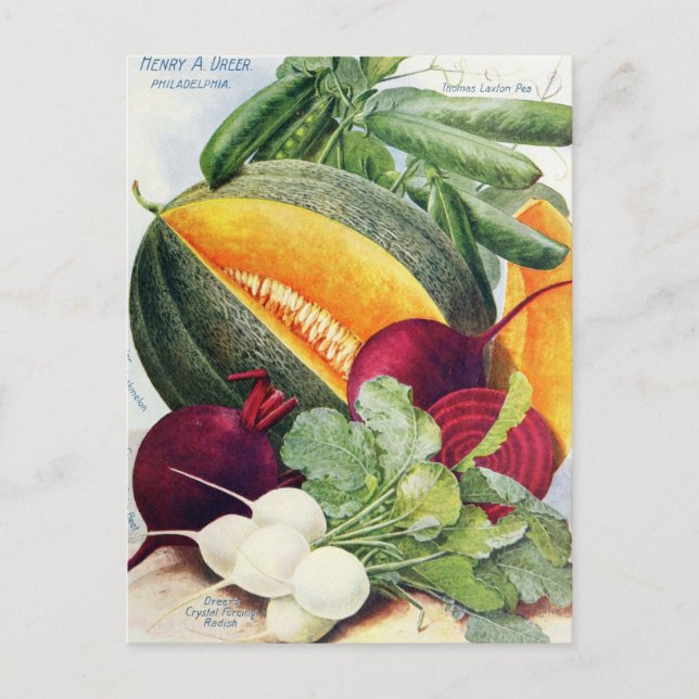 Vintage Utsäde och vykort (Framsida)