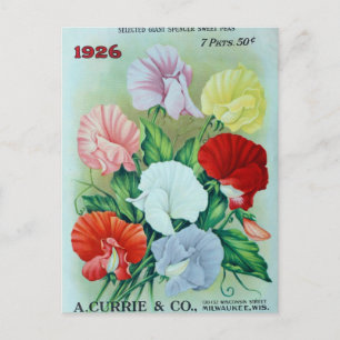 Vintage Utsäde och vykort