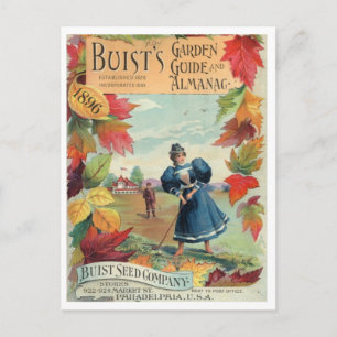 Vintage Utsäde och vykort