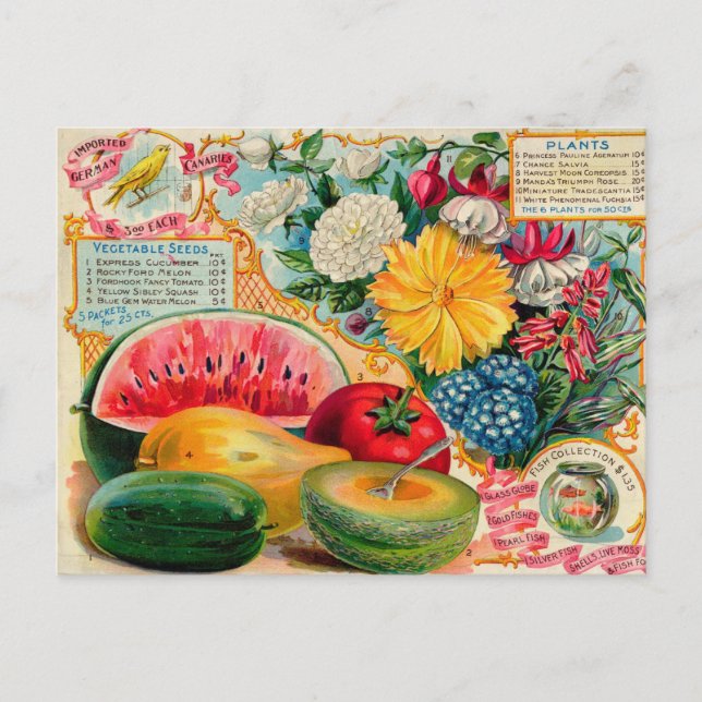 Vintage Utsäde och vykort (Framsida)