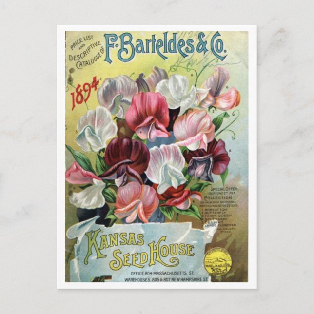 Vintage Utsäde och Vykort (Framsida)