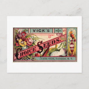 Vintage Utsäde och Vykort