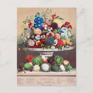 Vintage Utsäde och vykort