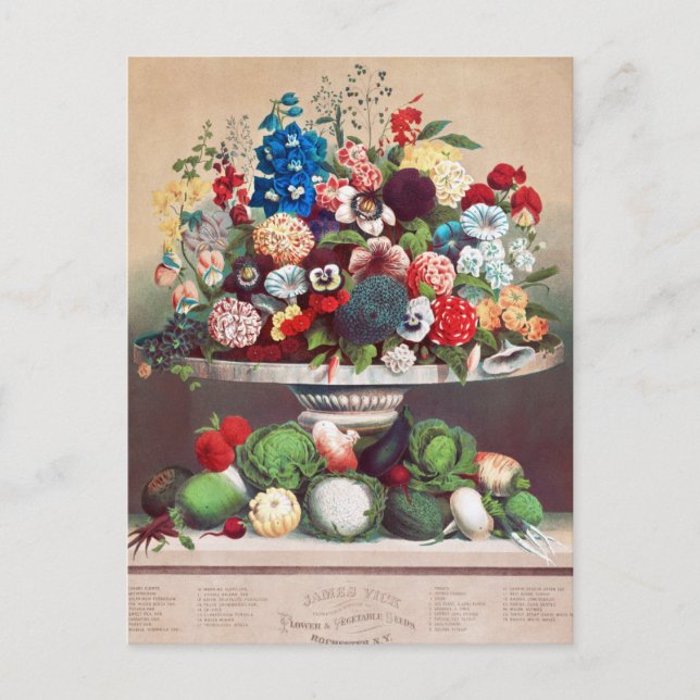 Vintage Utsäde och vykort (Framsida)