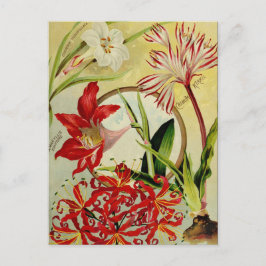 Vintage Utsäde och vykort