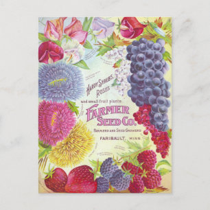 Vintage Utsäde och vykort