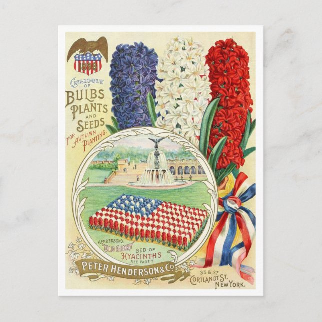 Vintage Utsäde och vykort (Framsida)