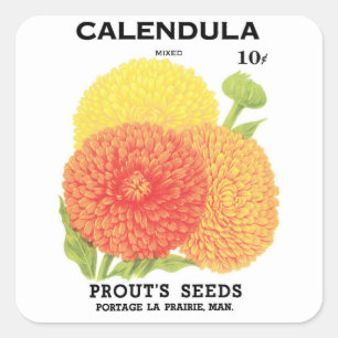 Vintage utsädespaket etikett konst, Calendula blom