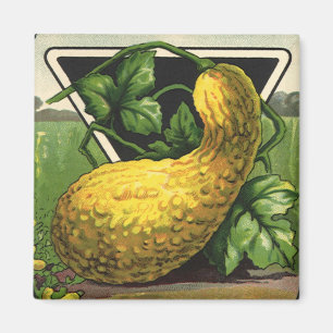 Vintage utsädespaket etikett konst gul sommar squa magnet