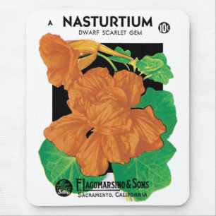 Vintage utsädespaket etikett konst, Nasturtium blo Musmatta