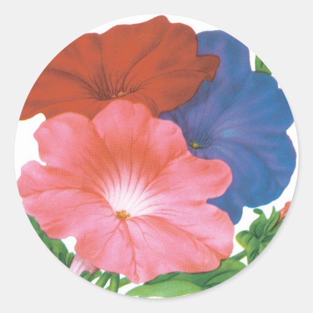 Vintage utsädespaket etikett konst, Petunia blommo (Framsida)